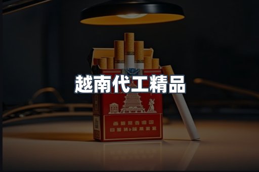 越南代工精品